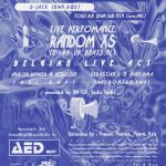Acid Vibes 1995 02 24 b