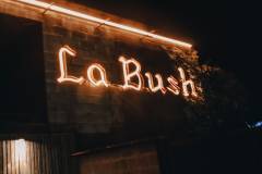 Bush-09